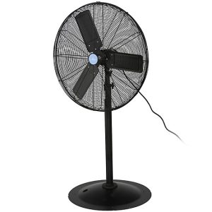 Fan, 30" in Pedestal